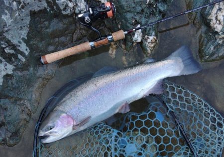 やっぱ天竜はこうでないと ～天竜川ルアーフ…